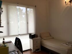 Clover Park (D20), Terrace #564204421